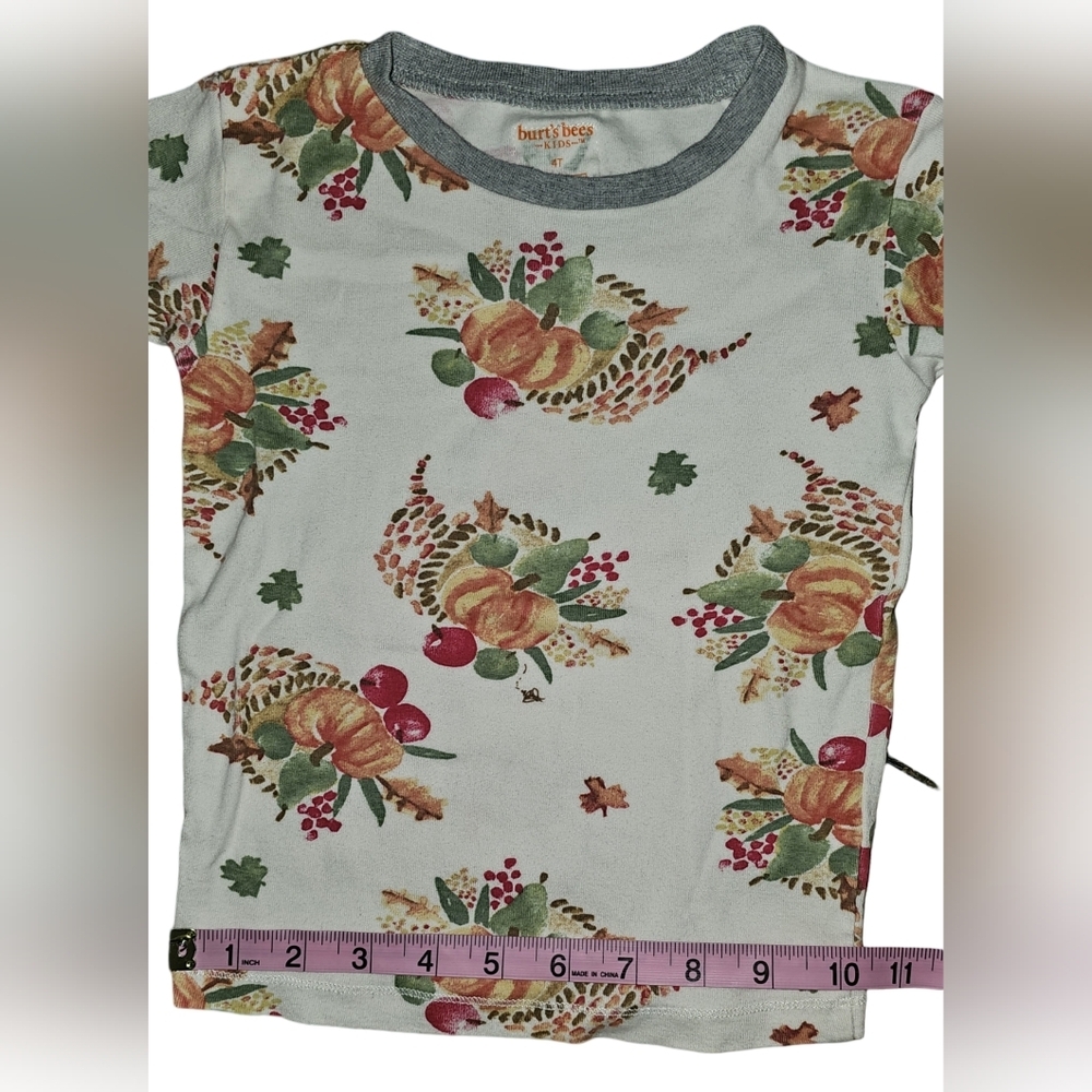 Burt’s Bees Kids Organic Cotton Pajama Set Thanksgiving Fall Pumpkin Harvest 4T - Picture 8 of 16